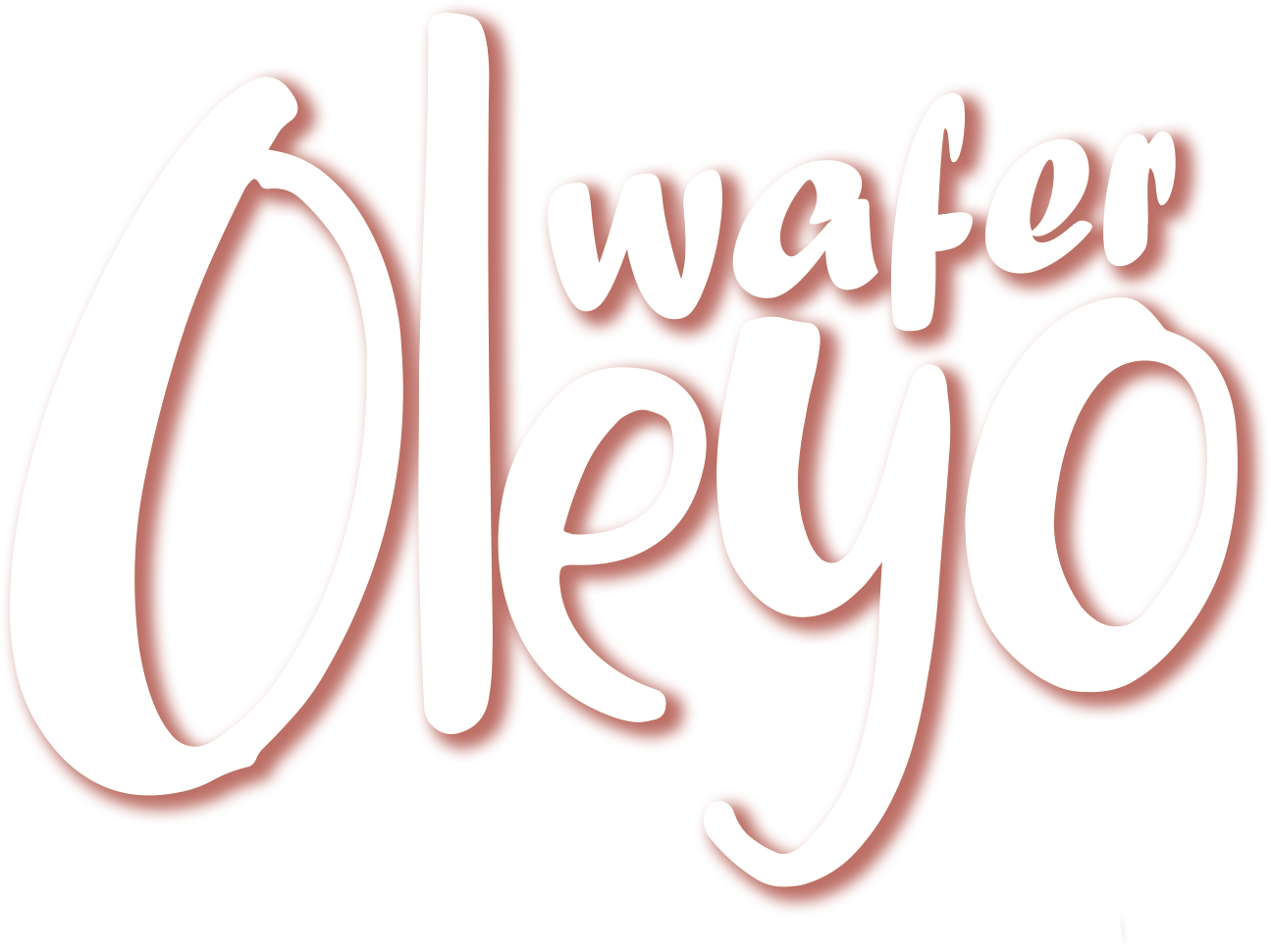 Oleyo wafer ercikek biscuit manufacturer